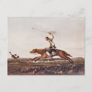 Postal Balling Ostriches