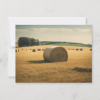 Balón de heno redondo en el día de campo
