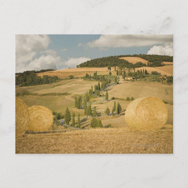 Postal Balón de heno y paisaje rodante, Toscana, Italia (Anverso)