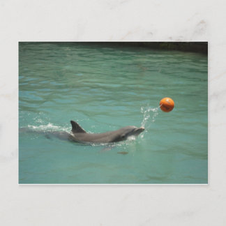 Postal Balón de juego de delfines