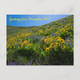 Postal Balsamroot y Lupine en Sage Hills Wenatchee, WA