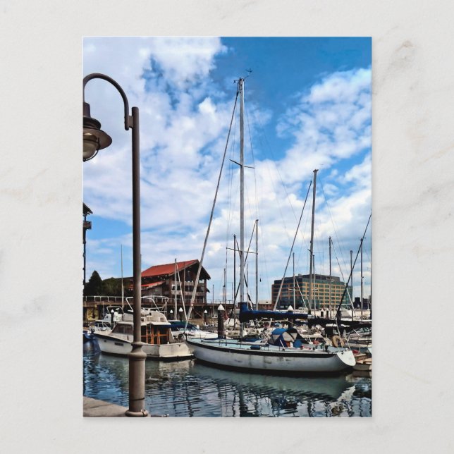 Postal Baltimore MD - Marina cerca de Fells Point (Anverso)