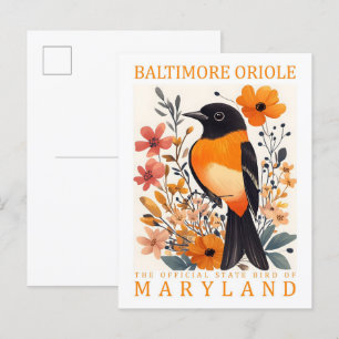 Postal Baltimore Oriole Bird of Maryland USA Travel