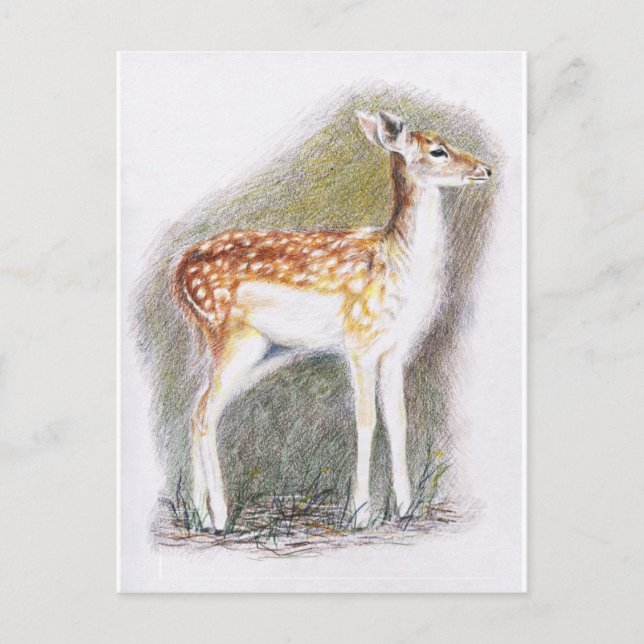 Postal Bambi (Anverso)