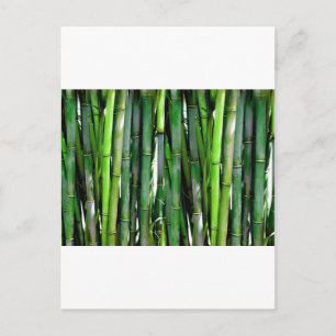 POSTAL BAMBOO