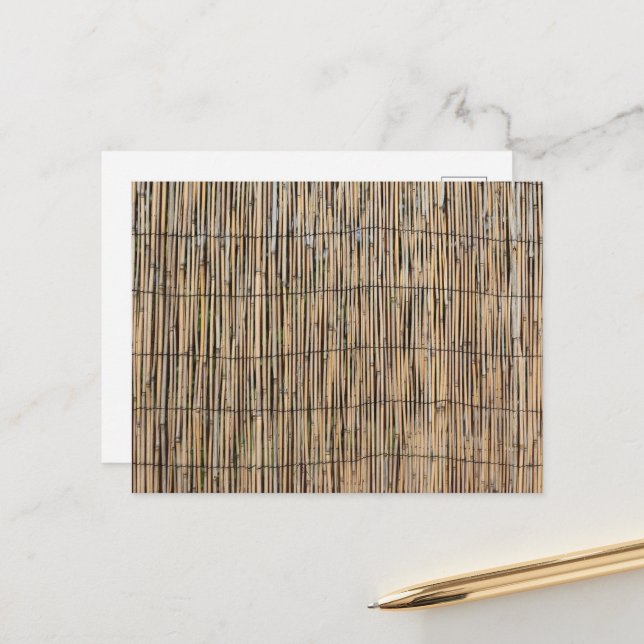 Postal Bambú (Anverso/Reverso In Situ)