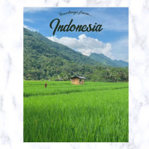 Postal Bambú en campo de arroz en Indonesia