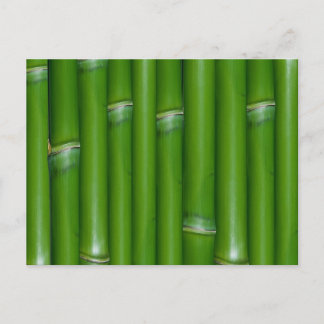 Postal Bambú verde