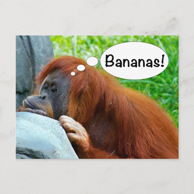 Postal ¡Bananas! (Anverso)