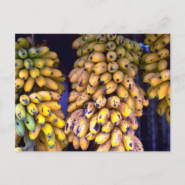 Postal Bananas a la venta en el mercado, Puerto Rico (Anverso)