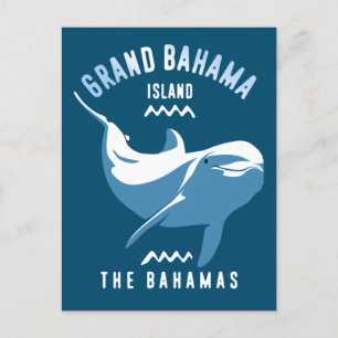 Postal Bañarse con delfines Buceo Grand Bahama Scuba