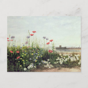 Postal Banco de las flores del verano