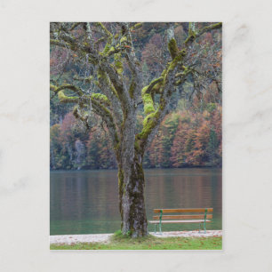 Postal Banco tranquilo junto a un lago, Alemania