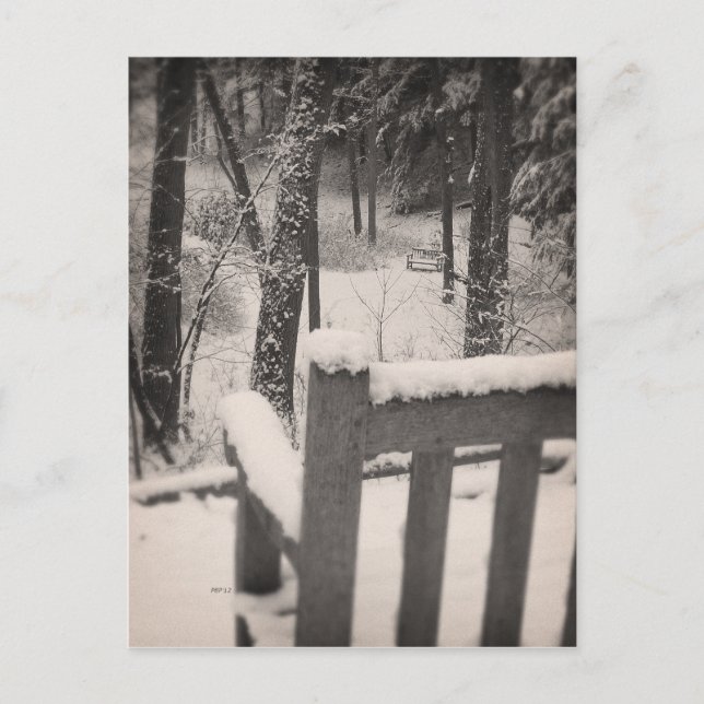 Postal Bancos cubiertos de nieve (Anverso)