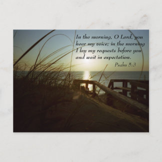 Postal Bancos exteriores por la mañana 4