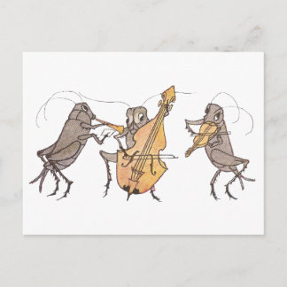 Postal Banda de cricket con cuerno, cordón y violín