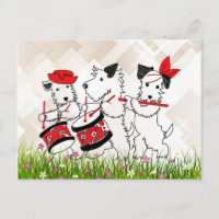 Banda de perros escoceses, linda y cariñosa