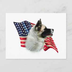 Postal Bandera Akita; Akita Patriótica; Bandera Americana