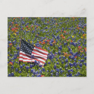 Postal Bandera americana en campo de Bonetas Azules, 2