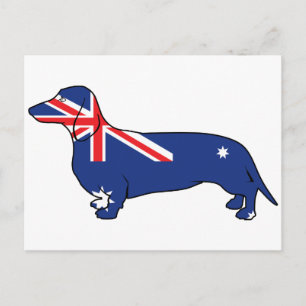 Postal Bandera australiana Dachshund
