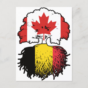 Postal Bandera belga de raíces de árbol canadiense belga