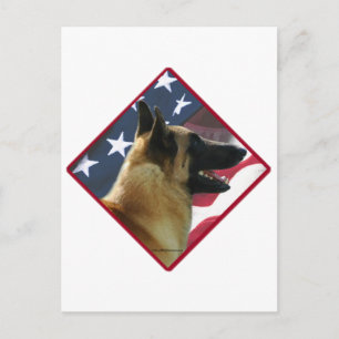 Postal Bandera belga malinois; Malinois 4 de julio, Estad