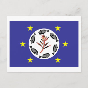 Postal Bandera de Airai