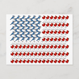 Postal Bandera de Aves de Estados Unidos