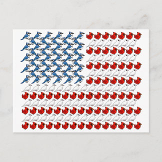 Postal Bandera de Aves de Estados Unidos