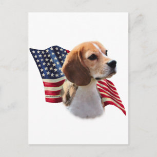 Postal Bandera de Beagle