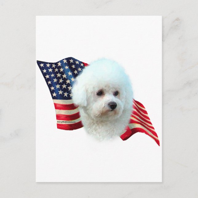 Postal Bandera de Bichon Frise (Anverso)