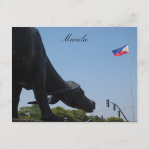 Postal bandera de búfalo de manila