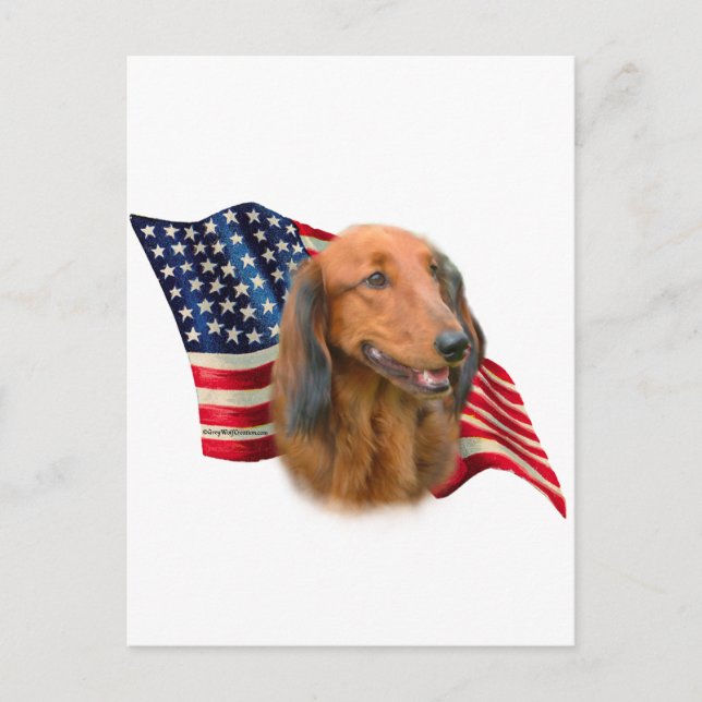 Postal Bandera de Dachshund (Anverso)