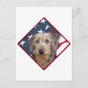 Postal Bandera de Dachshund 2
