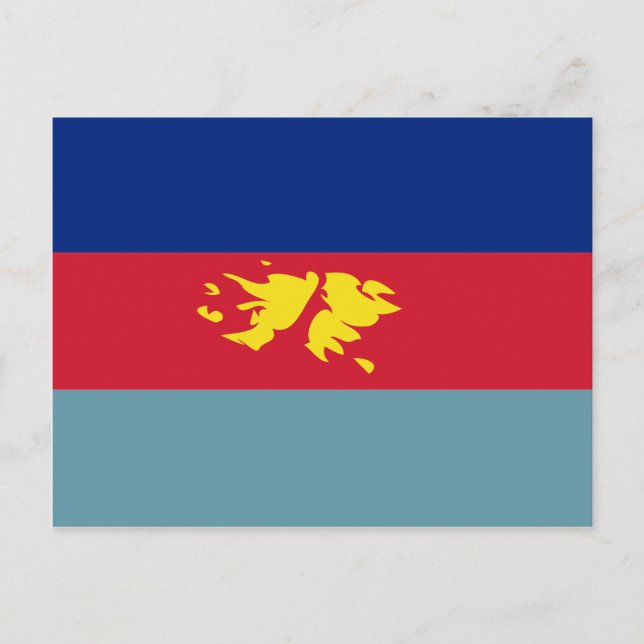 Postal Bandera de defensa de las Islas Malvinas (Falkland (Anverso)