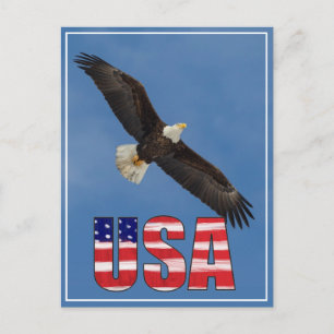 Postal Bandera De Estados Unidos Y Águila Calva