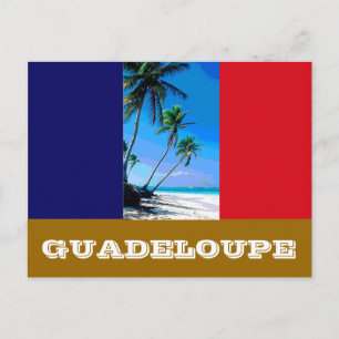 Postal Bandera de Guadalupe