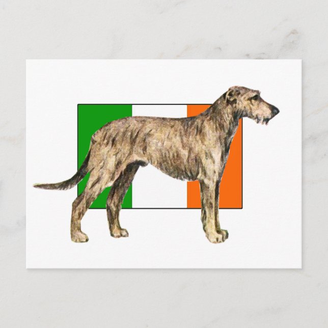 Postal Bandera de Irlanda Irish wolfhound Gear (Anverso)