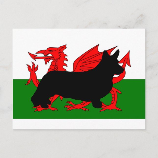 Postal bandera de la silueta de cardigan welsh corgi (Anverso)