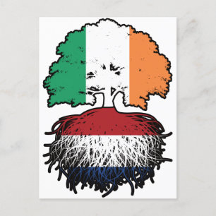 Postal Bandera de los árboles de Irlanda de los Países Ba