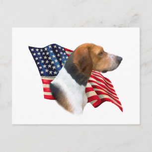 Postal Bandera de los Foxhound de Estados Unidos