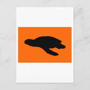 Postal Bandera de nidificación de tortuga marina
