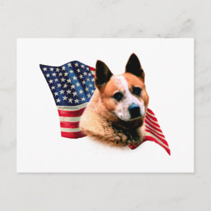 Postal Bandera de perro de ganado de Australia