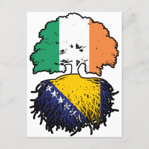 Postal Bandera de raíces bosnias irlandesas