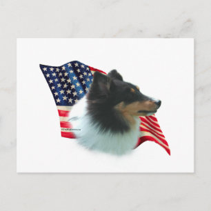 Postal Bandera de Shetland Sheepdog (tri)