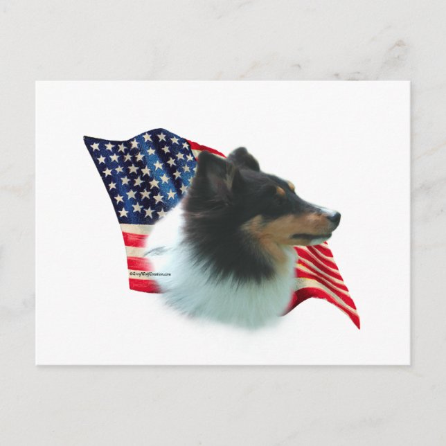 Postal Bandera de Shetland Sheepdog (tri) (Anverso)