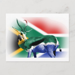 Postal Bandera de Springbock de Sudáfrica