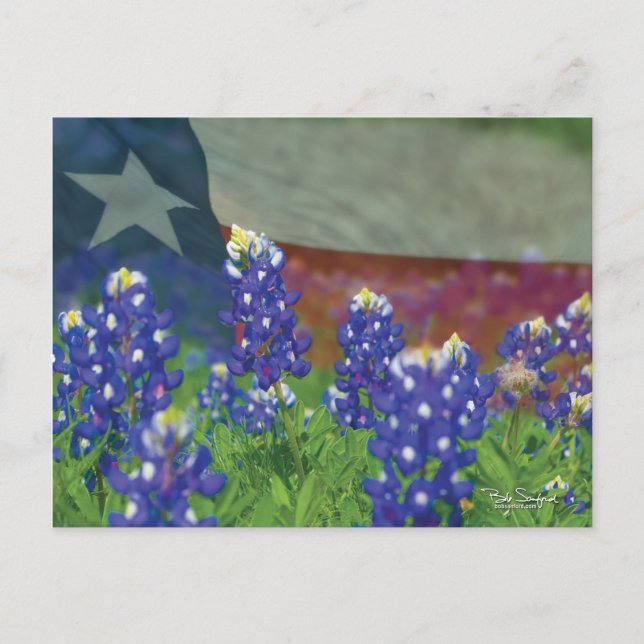 Postal Bandera de Texas con redes azules (Anverso)