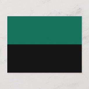Postal Bandera de Texel