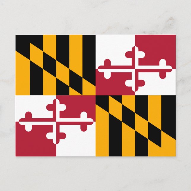 Postal Bandera del Estado de Maryland vibrante (Anverso)